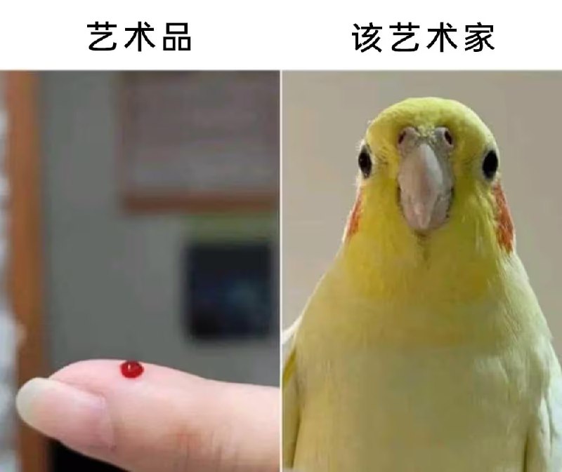 via 8号沙雕网友