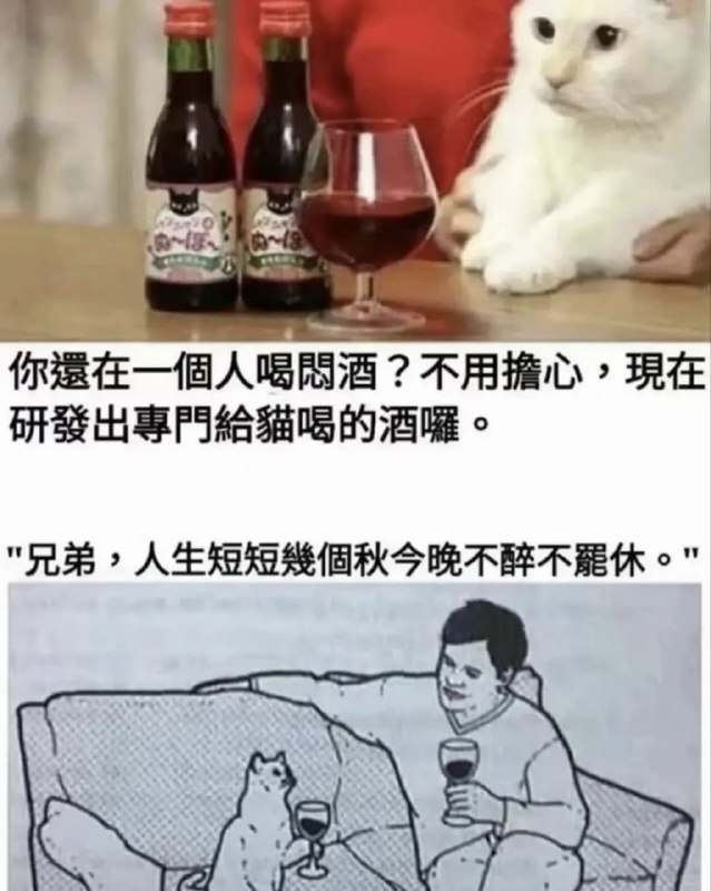 from 什麼都來點 via DECADE