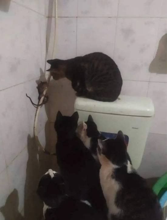 via 8号沙雕网友via 8号沙雕网友