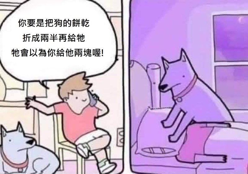 from kiki jiji
