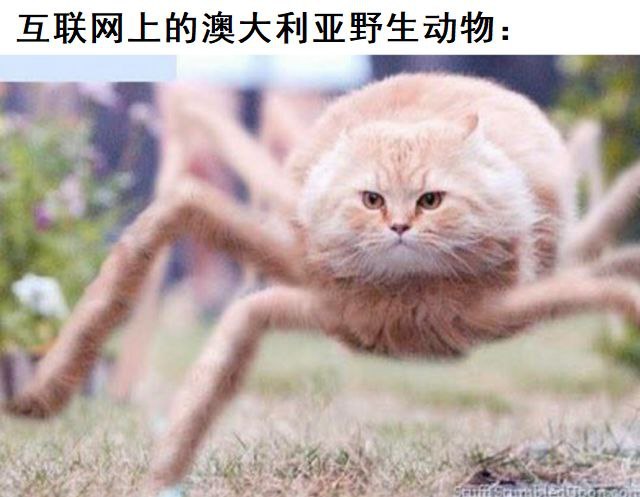 via 蒼瀾熙