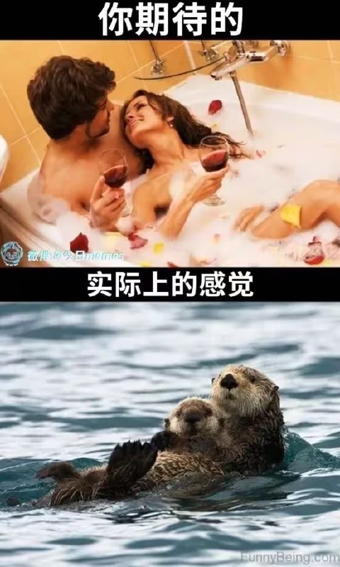 via 6号沙雕网友