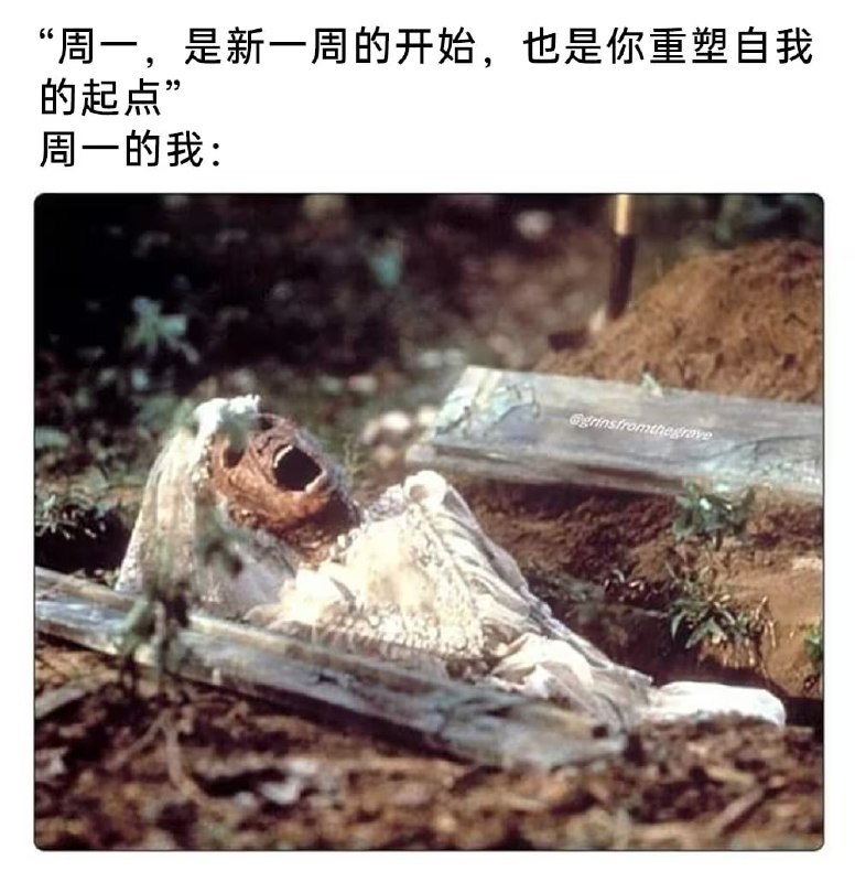 via 6号沙雕网友