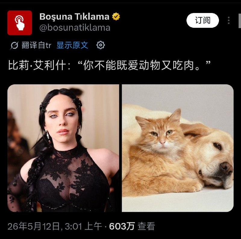 中国有句古话，爱屋及乌