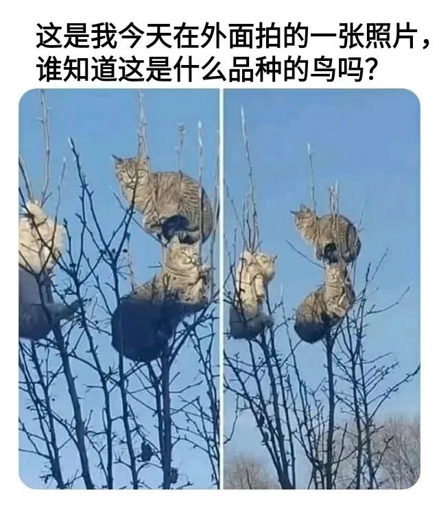 via 霁寒霄