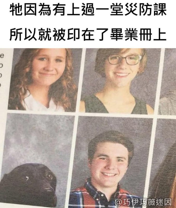 from 什麼都來點 via DECADE