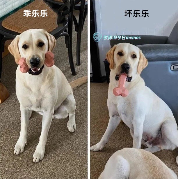 from 托尔酱的梗图与FW via Xx Xx