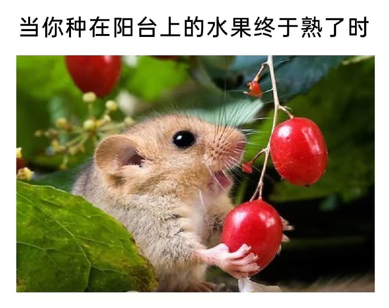 via 6号沙雕网友