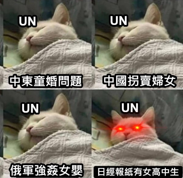 聯合國女權機關抗議月曜日のたわわ聯合國只會欺軟怕硬#奇聞軼事 #謎島練舞室from UMD(兔鼠)的謎島觀察日記（NSFW）