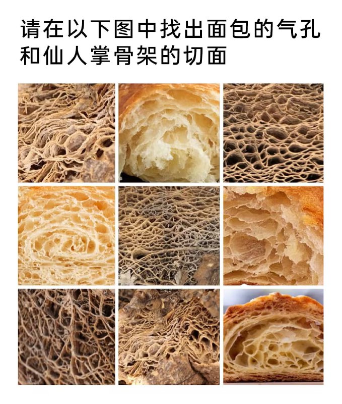 via 7号沙雕网友