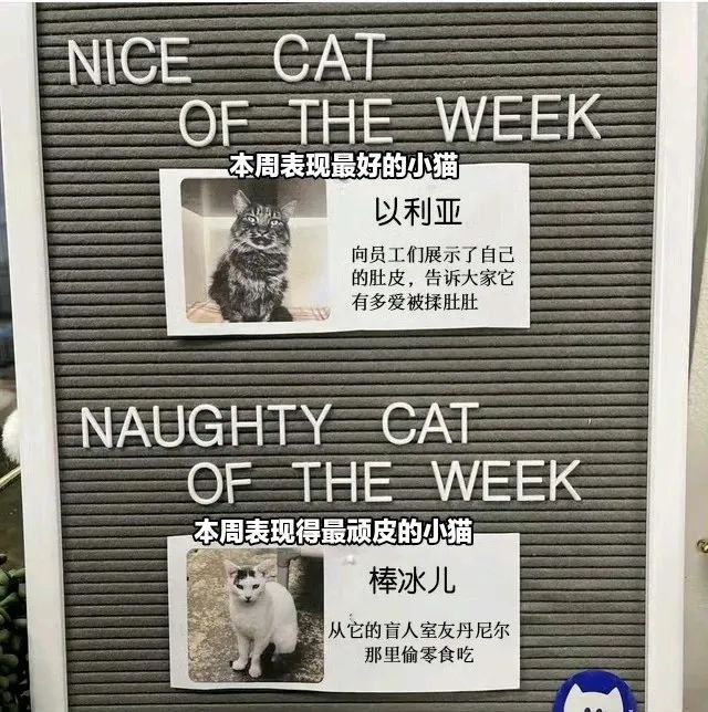 via 霁寒霄