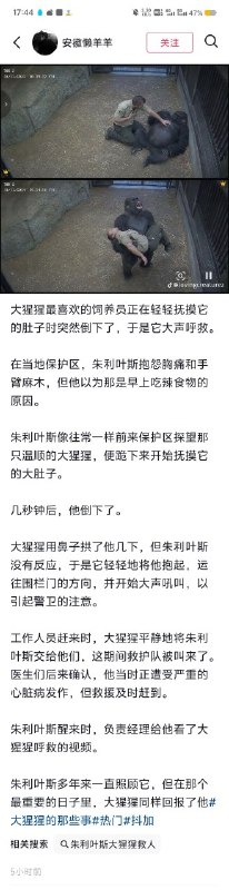via 飞天 小松鼠