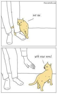 from 猫猫窝🐈🐈‍⬛from 猫猫窝🐈🐈‍⬛