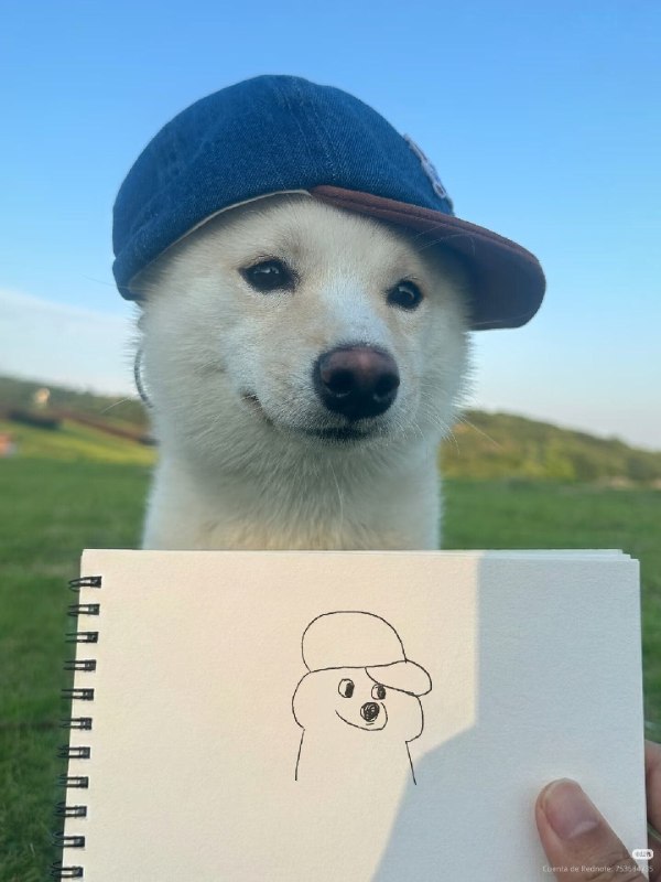 HeHeDa