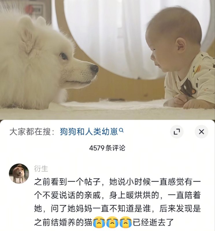 from 瞎鸡儿发 多角度看世界 via 姜饼和miku约会中