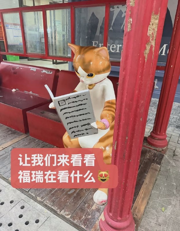 😨……from 平壤卫视😨……from 平壤卫视