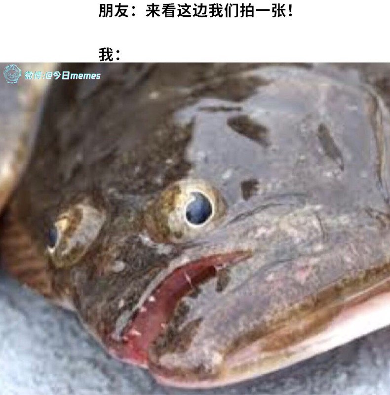 via 蒼瀾熙