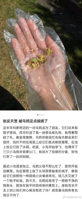 via 7号沙雕网友