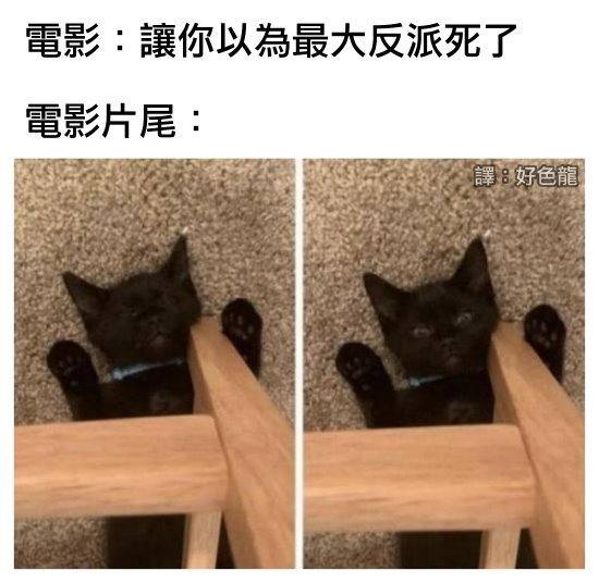 via 摸⃕哦⃕哞⃕ ੭ ᐕ)੭*⁾⁾ ♡