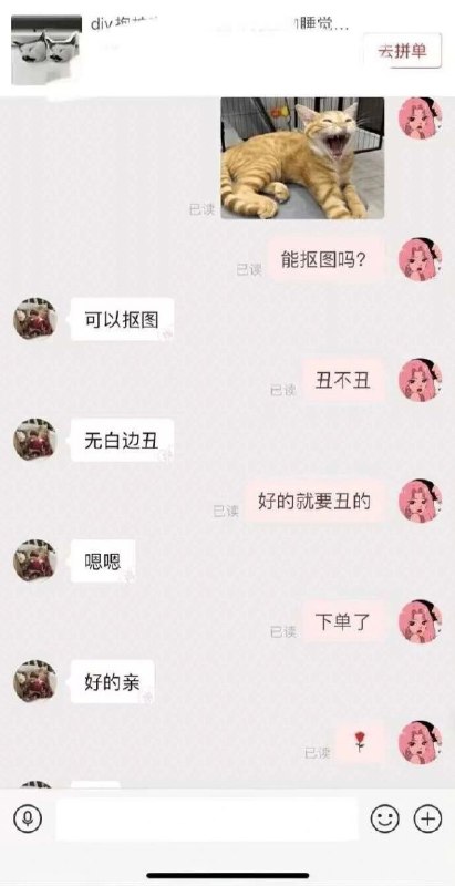 猫