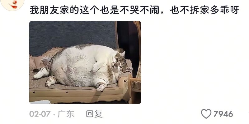 via 九 月九