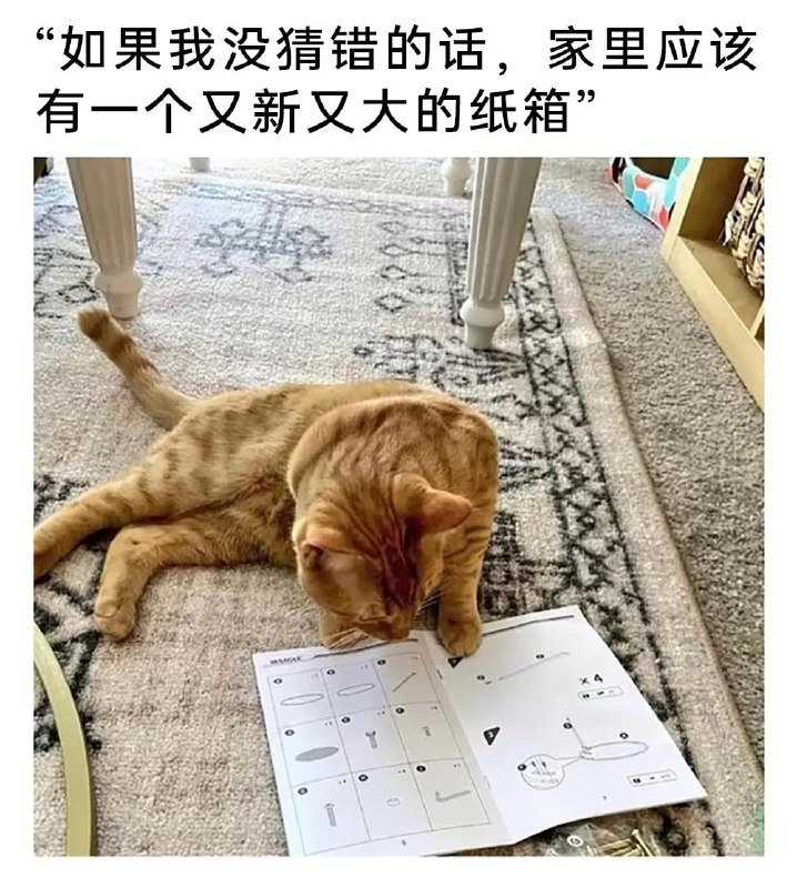 via 6号沙雕网友
