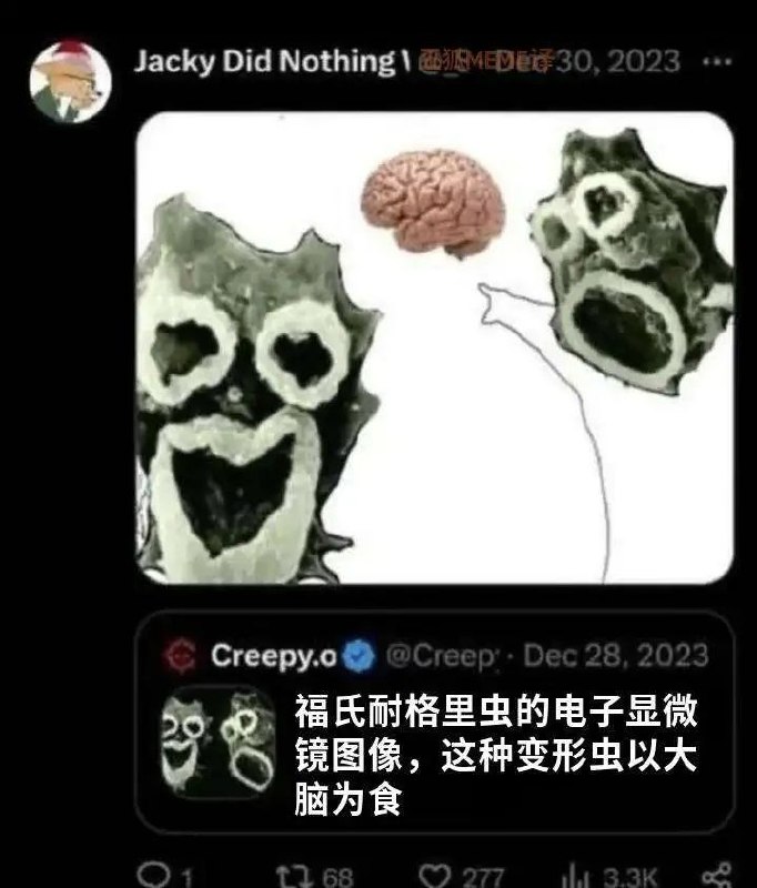 via Meng Xin