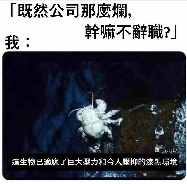 from 什麼都來點 via DECADE