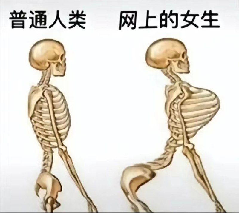 没毛病🤣👍