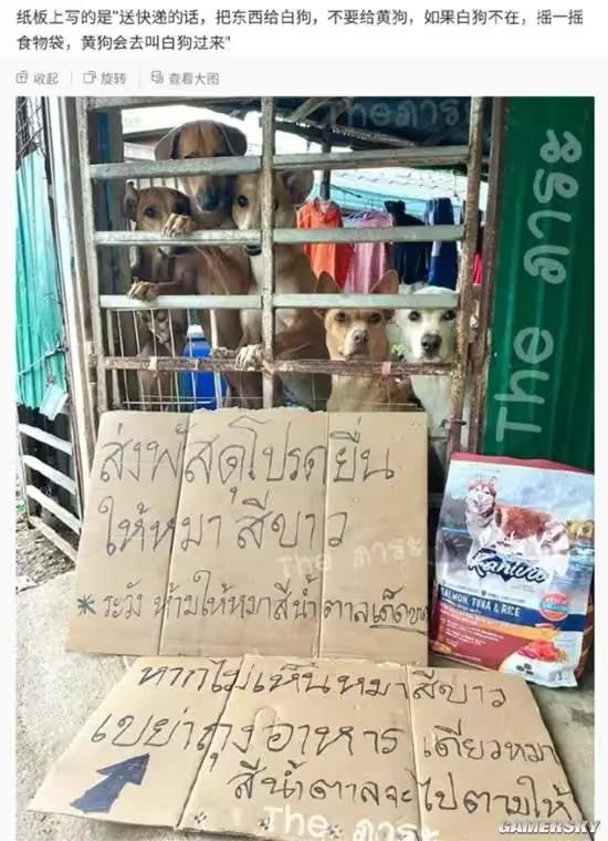 via 6号沙雕网友