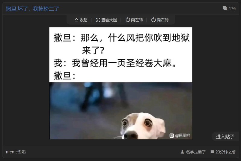 耶烟丁真，鉴定为