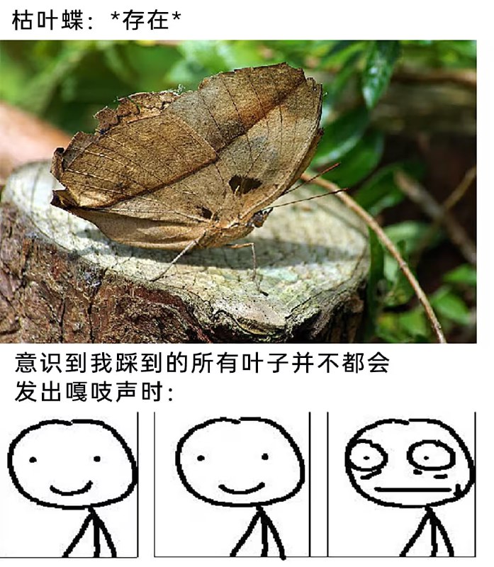via 7号沙雕网友