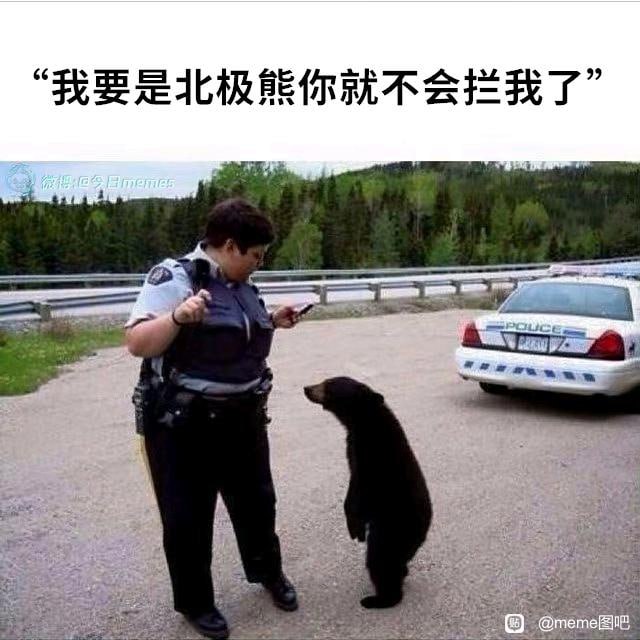 【meme宝箱】您获得的meme数量是...from TG空间🐱【meme宝箱】您获得的meme数量是...from TG空间🐱