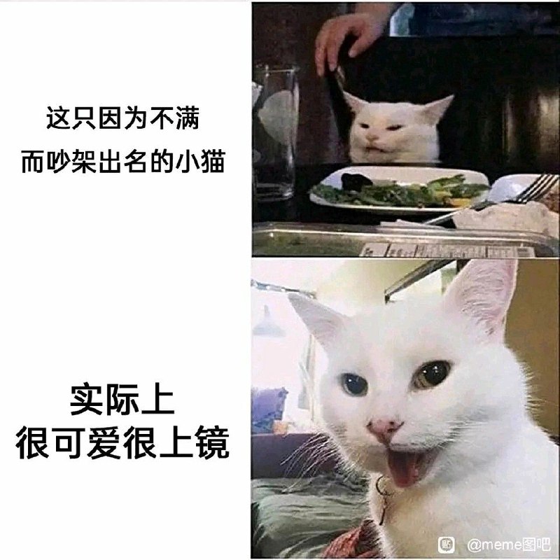 by Gawrfrom 🔮 奇闻异录 与 沙雕时刻 meme collection