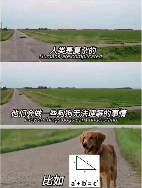 via 6号沙雕网友