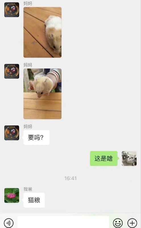 幽默父母from Foolish TraceWind幽默父母from Foolish TraceWind