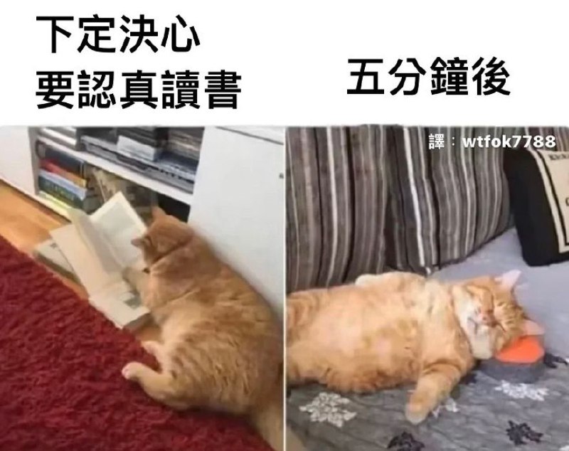 via 蒼瀾熙