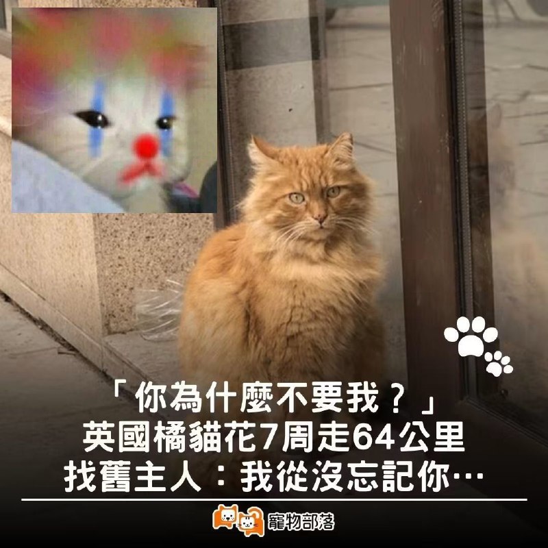 😭😭😭😭😭