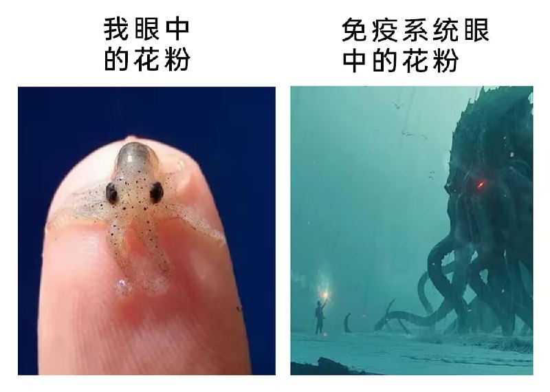 via 8号沙雕网友