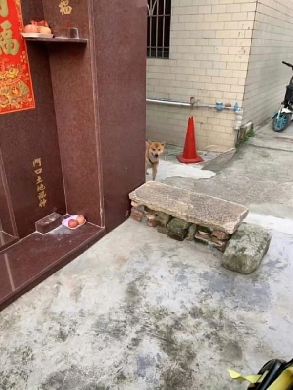 via 君生我未生，我生君已老