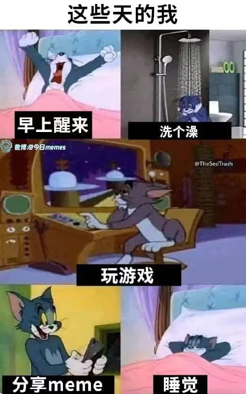 via 6号沙雕网友