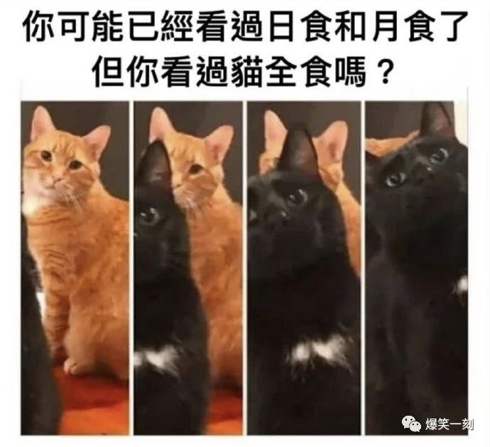 via Meng Xin