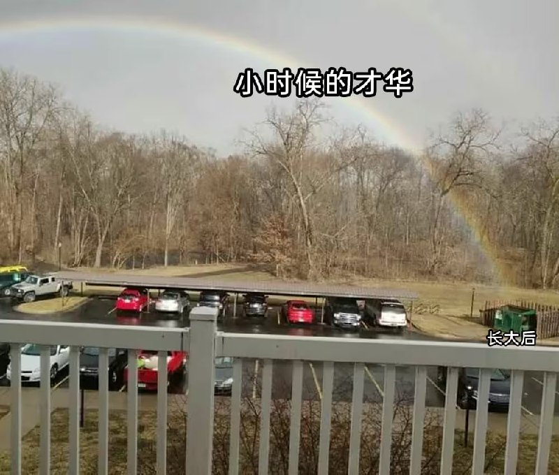 via 6号沙雕网友