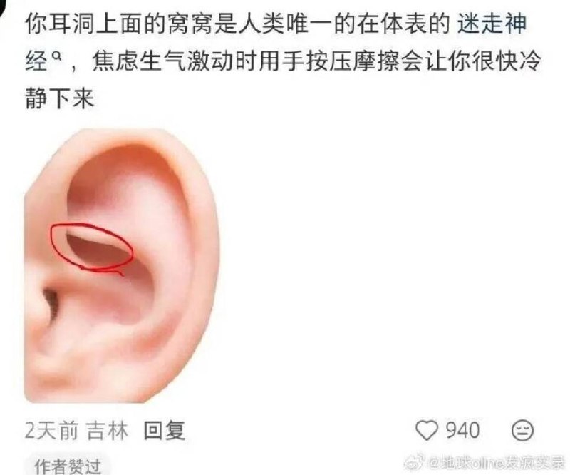 via 8号沙雕网友