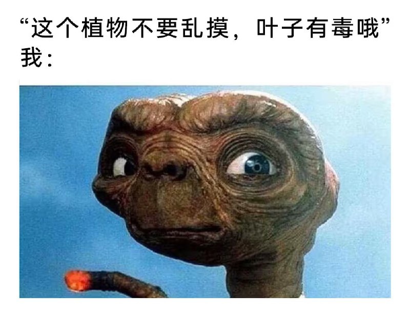 via 7号沙雕网友