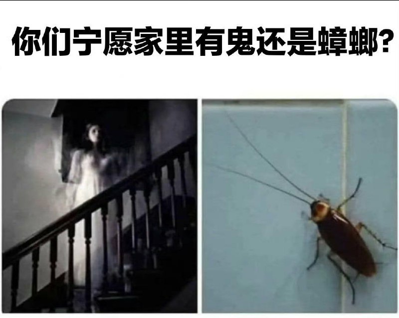 結果👻和🪳都有via DECADE
