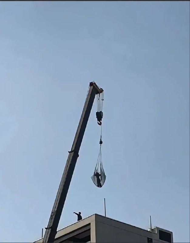 from 这人真懒from 这人真懒