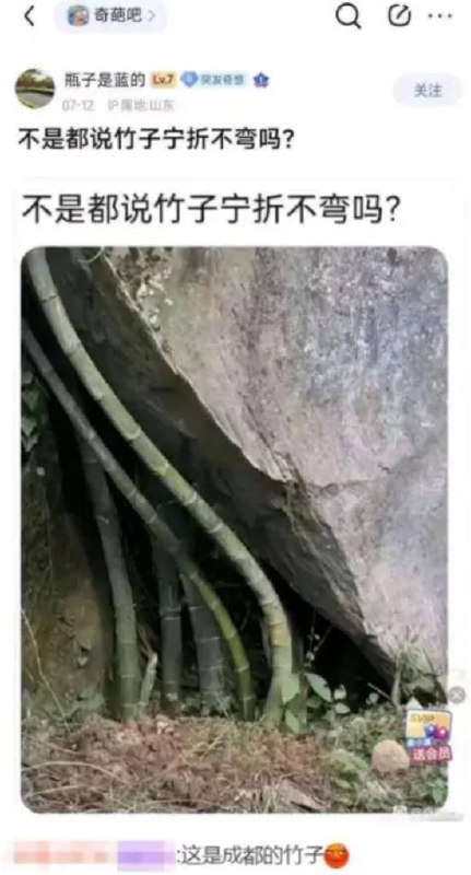 via 7号沙雕网友