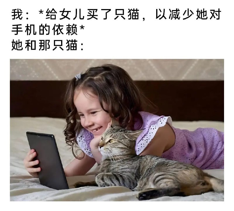 via 6号沙雕网友