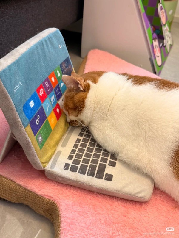 poor thing still using windows 8 no wonder she's miserable 😭poor thing still using windows 8 no wonder she's miserable 😭via Gary です